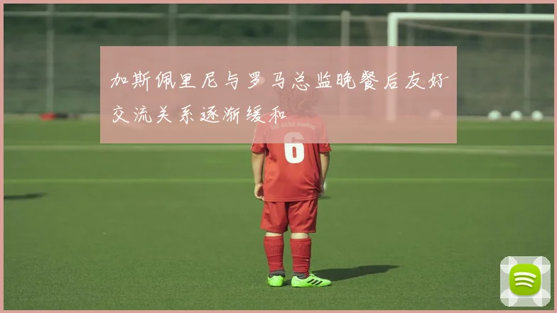 加斯佩里尼与罗马总监晚餐后友好交流关系逐渐缓和